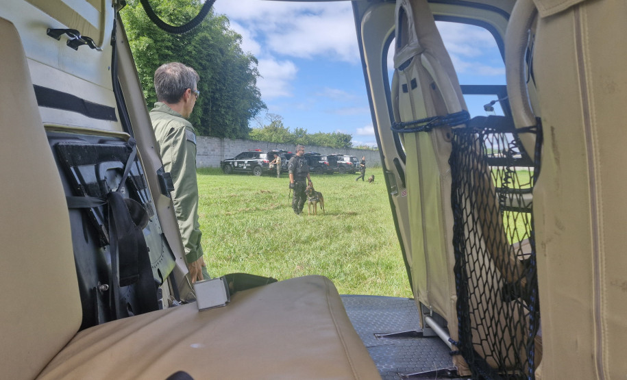 PCPR treina cães farejadores em aeronaves para operações emergência