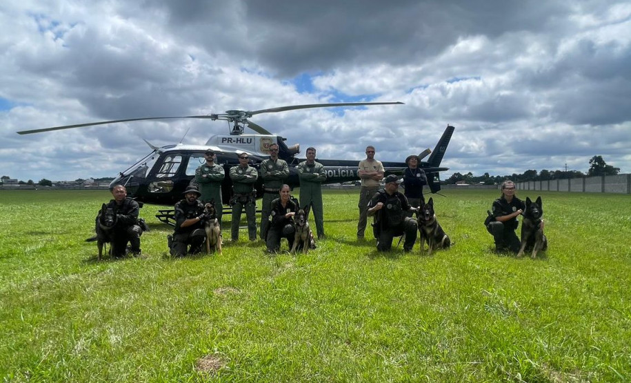 PCPR treina cães farejadores em aeronaves para operações emergência