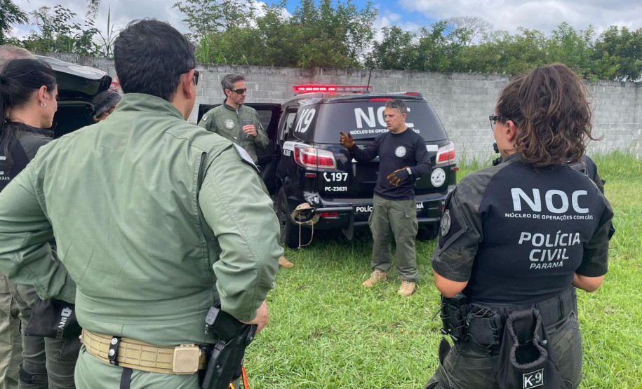 PCPR treina cães farejadores em aeronaves para operações emergência