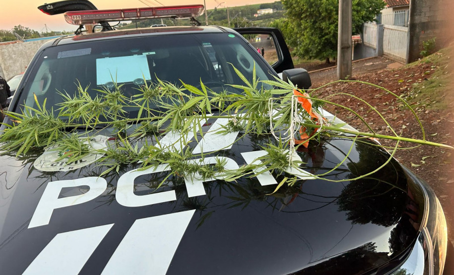 PCPR e PMPR cumpre 18 mandados judiciais em operação em Santo Antônio do Sudoeste