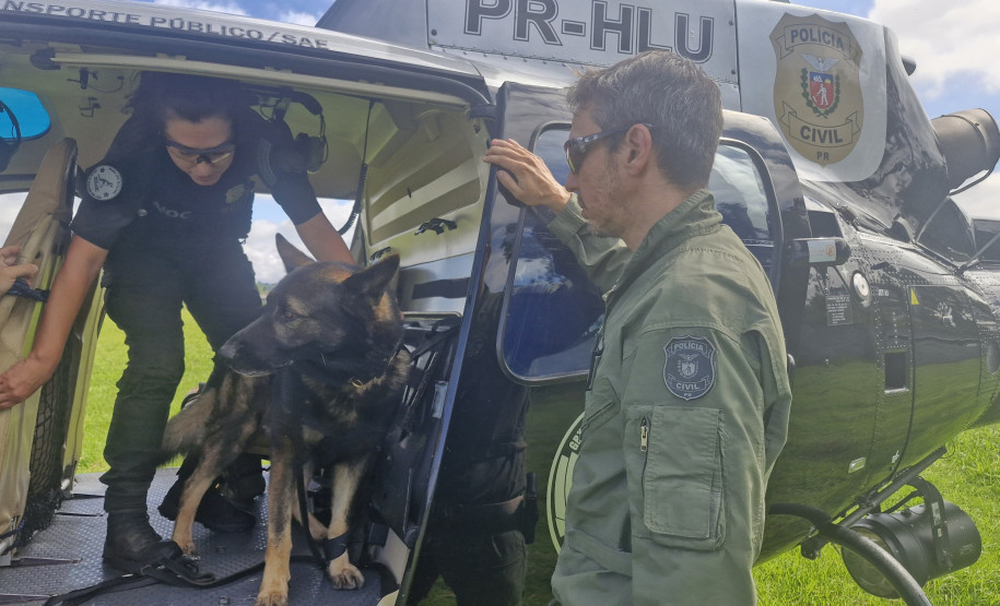 PCPR treina cães farejadores em aeronaves para operações emergência