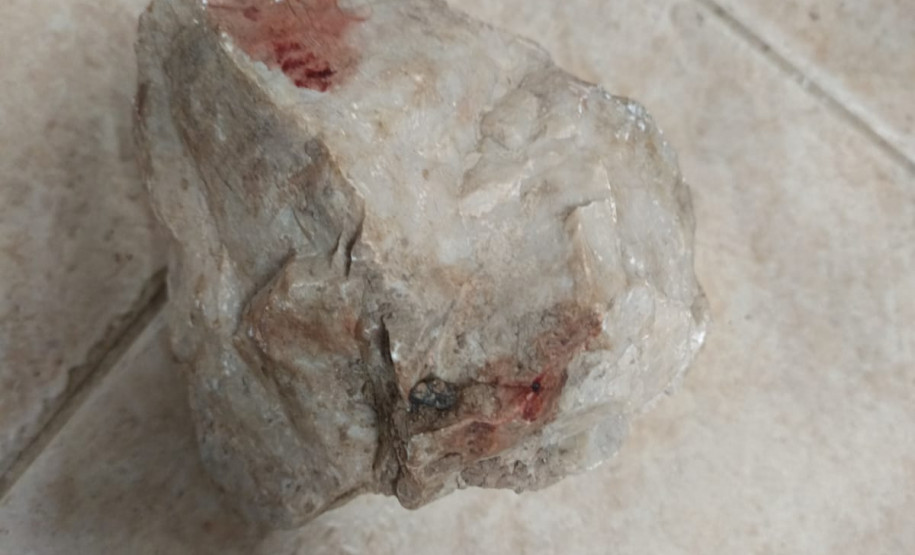 PCPR prende homem em flagrante por maus-tratos a animais na Capital