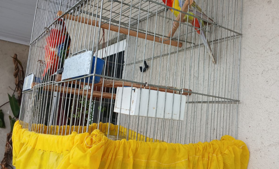 PCPR prende homem em flagrante por maus-tratos a animais na Capital