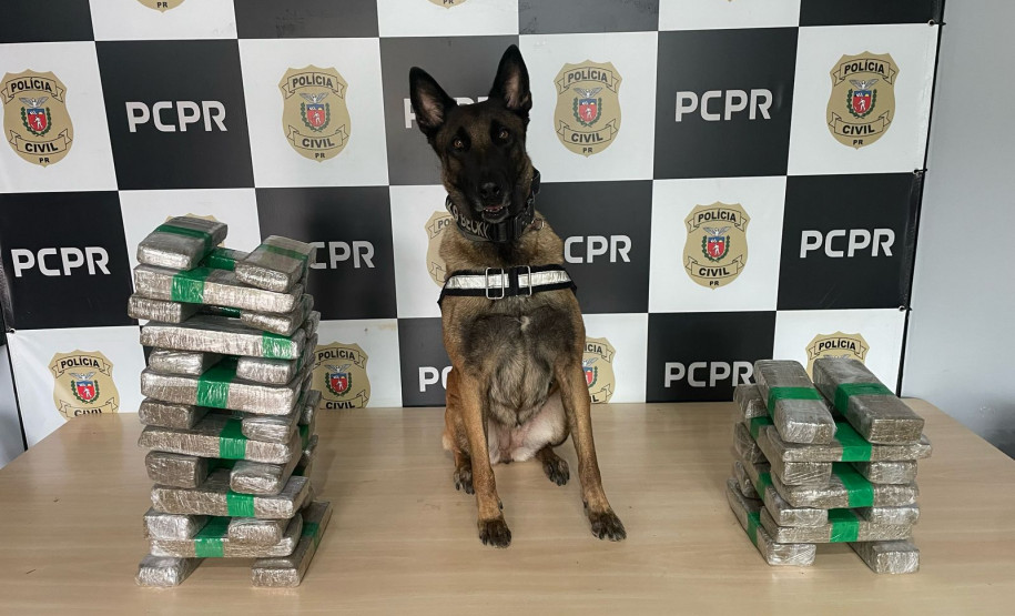 PCPR prende casal em flagrante e apreende 23 quilos de maconha em Céu Azul