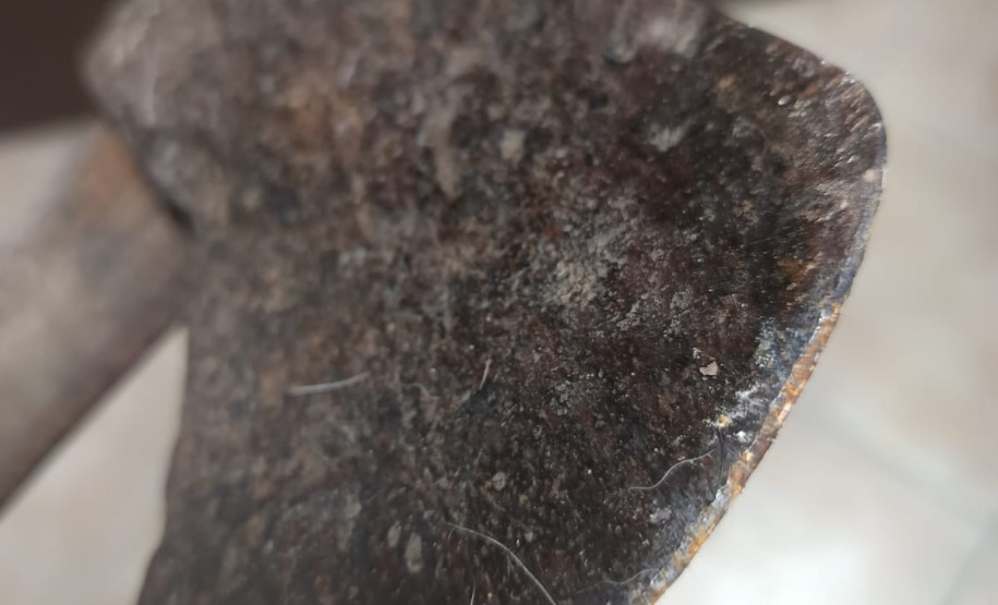 PCPR prende homem em flagrante por maus-tratos a animais na Capital