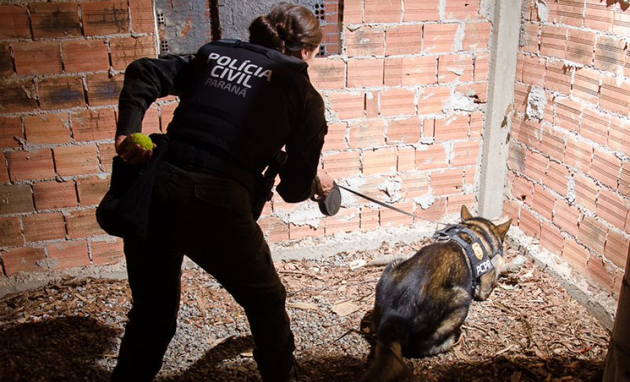 PCPR abre inscrições para o 1° Curso de Operações Policiais com Cães