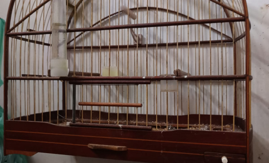 PCPR prende homem em flagrante por manter pássaros em cativeiro e outros crime em Antonina