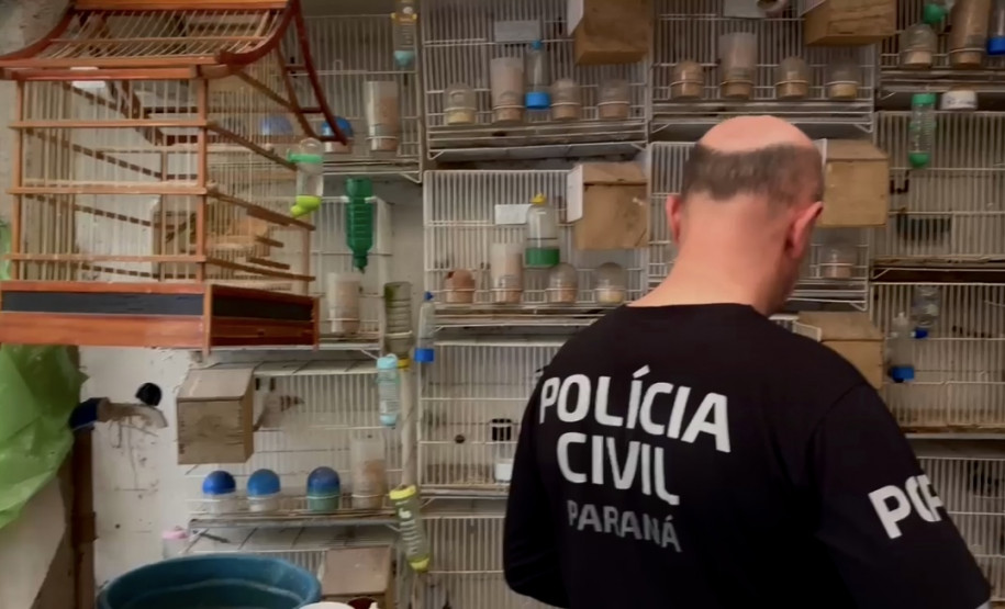 PCPR prende homem em flagrante por tráfico de animais em Imbituva