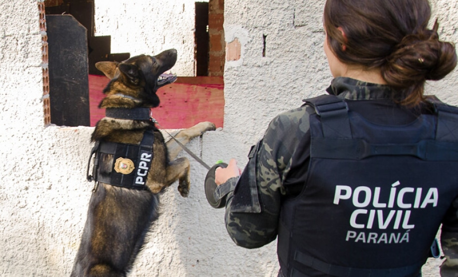 PCPR abre inscrições para o 1° Curso de Operações Policiais com Cães