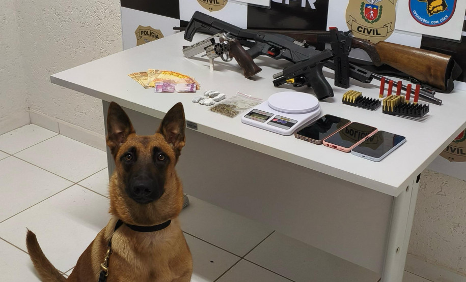 PCPR e PMPR prendem duas pessoas por porte ilegal de armas e gravação não autorizada de intimidade sexual