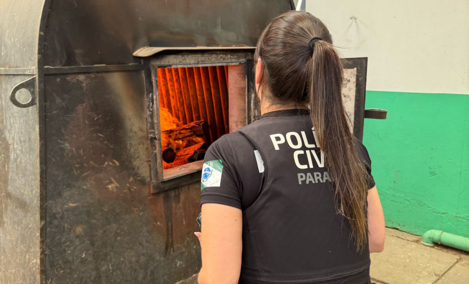 PCPR incinera mais de 1,3 mil quilos de drogas em Piraquara