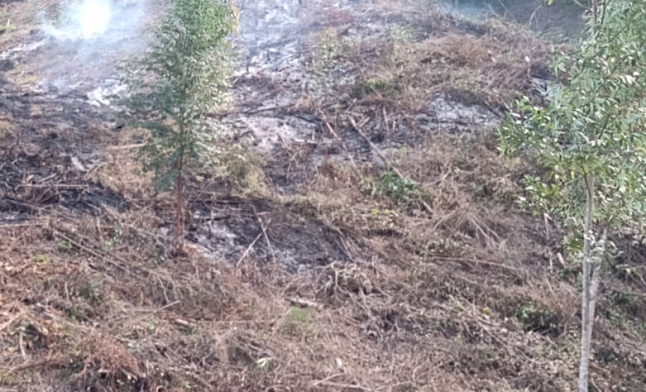 PCPR e GM prendem homem em flagrante por crimes ambientais em Sengés