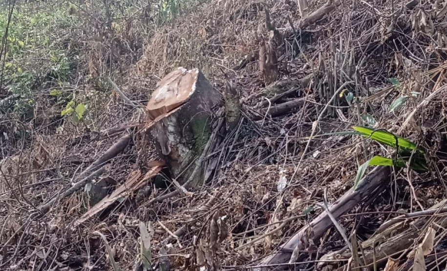 PCPR e GM prendem homem em flagrante por crimes ambientais em Sengés