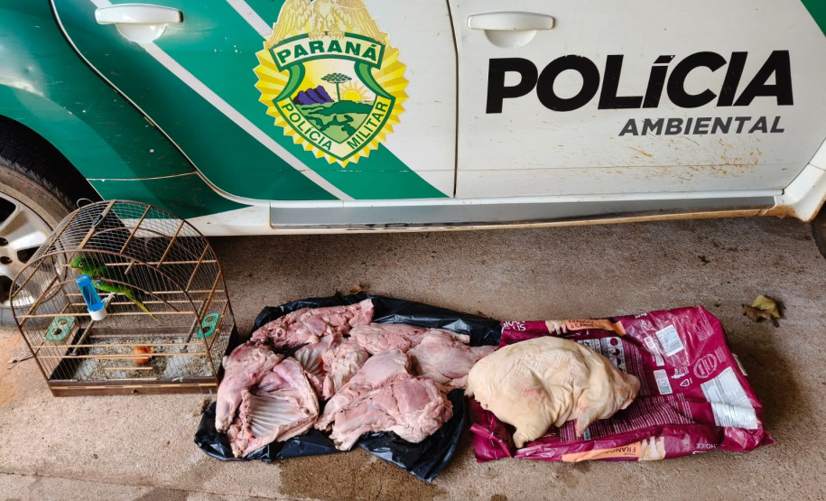 PCPR e PMPR prendem homem em flagrante pela caça de animais silvestres e porte de arma de fogo em Cianorte