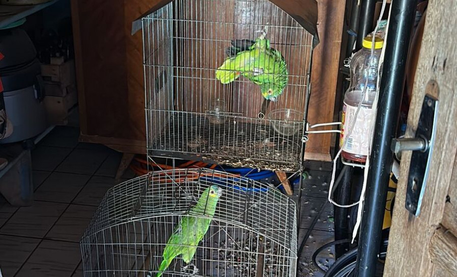 PCPR prende homem em flagrante por tráfico de drogas e maus-tratos em Paranavaí