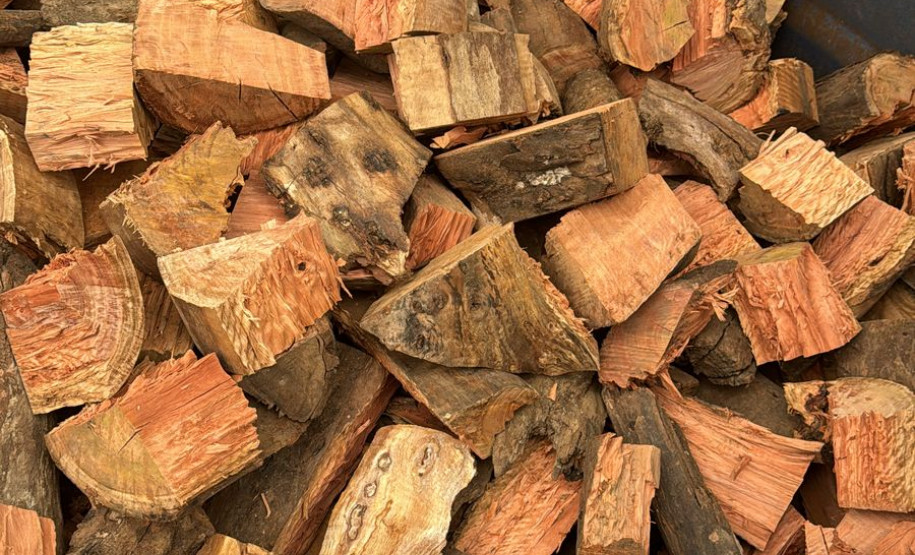 PCPR prende três empresários em flagrante por crimes ambientais na Capital