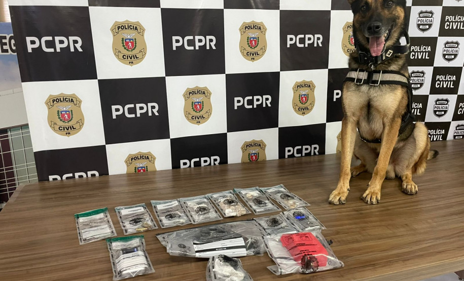 PCPR prende mãe e apreende filho em flagrante por tráfico de drogas em Francisco Beltrão