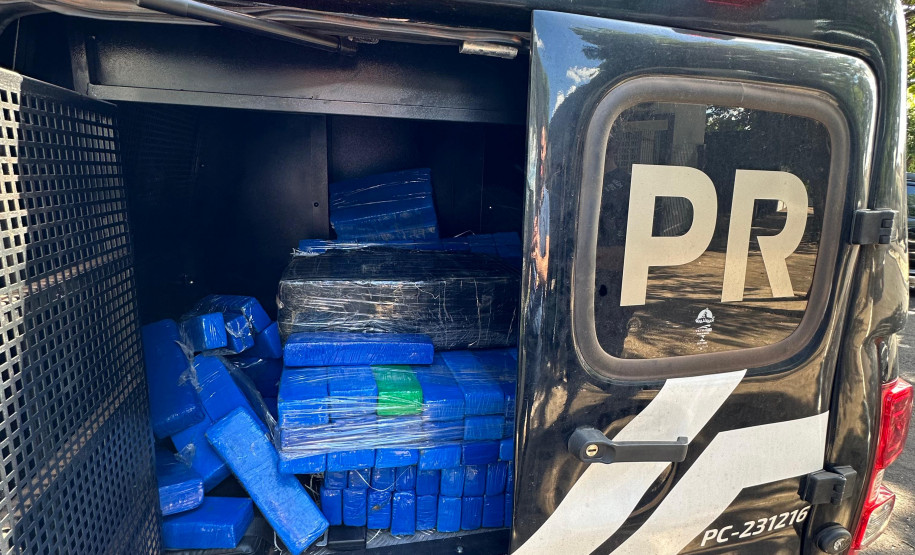 PCPR incinera mais de 200 quilos de entorpecentes em Cruzeiro do Oeste