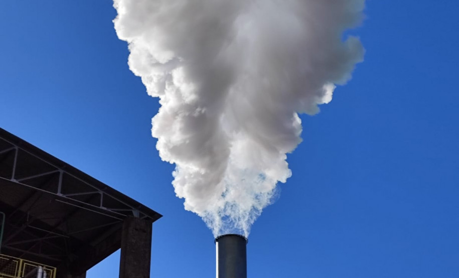 PCPR incinera mais de 825 quilos de entorpecentes em Campo Mourão