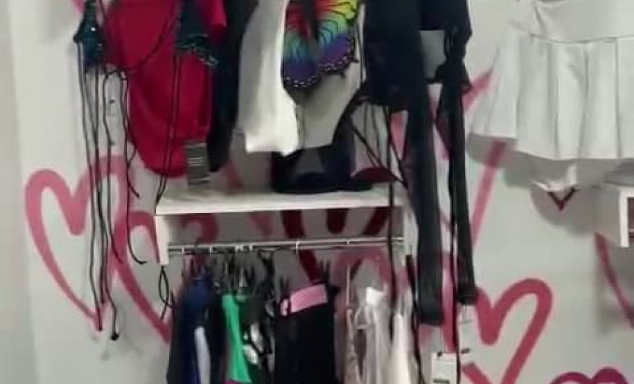 PCPR prende em flagrante mulher suspeita de fraudar contas de loja online e revender produtos em Ponta Grossa