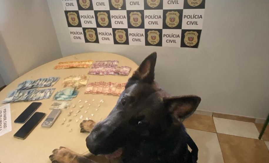 PCPR prende cinco pessoas durante ação de repressão ao tráfico de drogas em Paranavaí