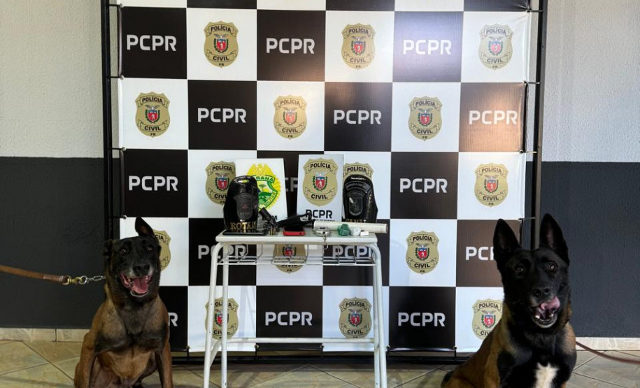 PCPR e PMPR prendem dois homens em flagrante durante operação em Pérola