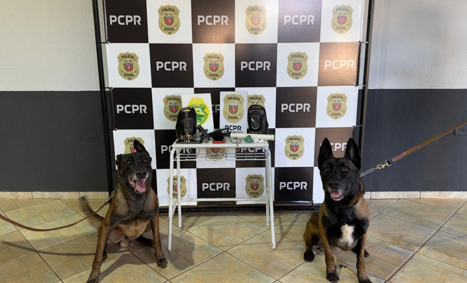 PCPR e PMPR prendem dois homens em flagrante durante operação em Pérola