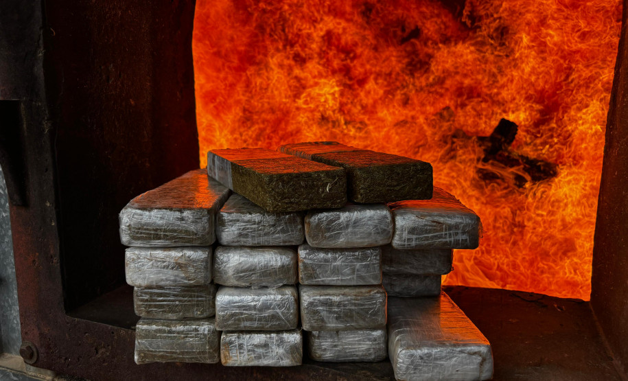 PCPR realiza incineração de mais de 723 quilos de drogas em Palmeira