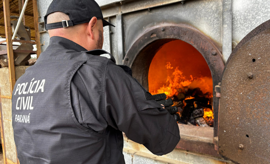 PCPR realiza incineração de mais de 723 quilos de drogas em Palmeira