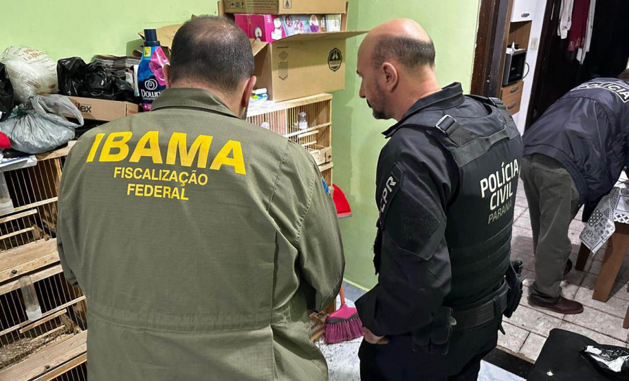 PCPR prende 16 e resgata 1 mil animais em operação contra tráfico internacional de espécies