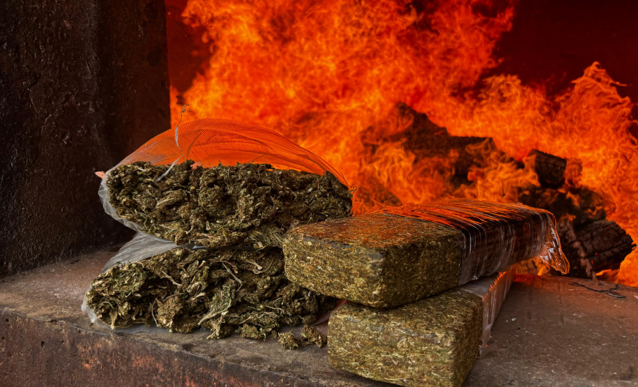 PCPR realiza incineração de mais de 723 quilos de drogas em Palmeira