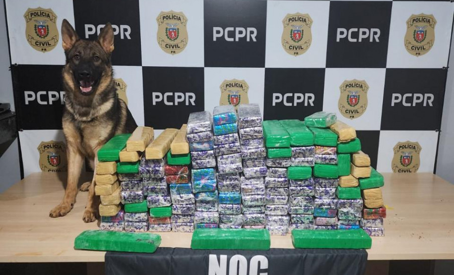PCPR destaca ações de combate e prevenção às drogas durante o Junho Branco