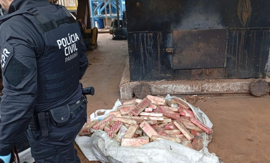 PCPR incinera 785 quilos de drogas em Francisco Beltrão