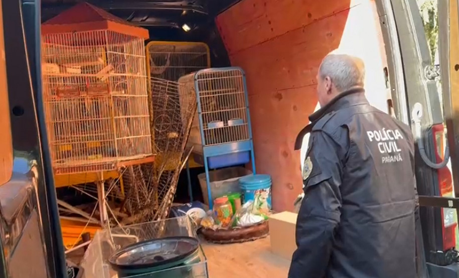 PCPR prende 16 e resgata 1 mil animais em operação contra tráfico internacional de espécies