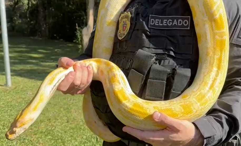 PCPR prende 16 e resgata 1 mil animais em operação contra tráfico internacional de espécies