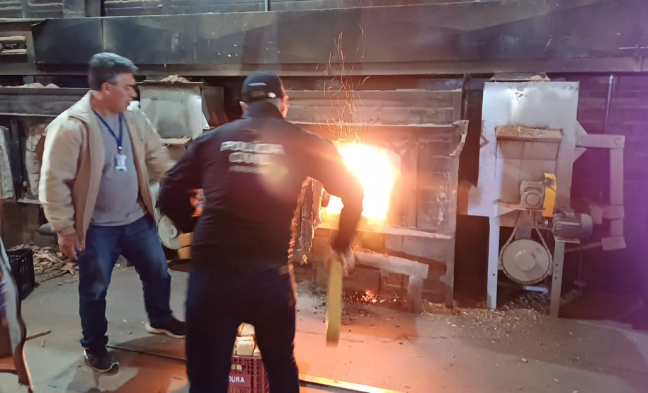 PCPR incinera cerca de duas toneladas de drogas em Araucária