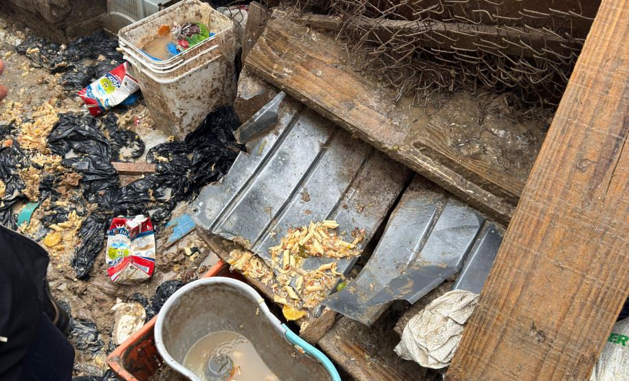 PCPR prende homem em flagrante por maus-tratos a 37 cães em Castro