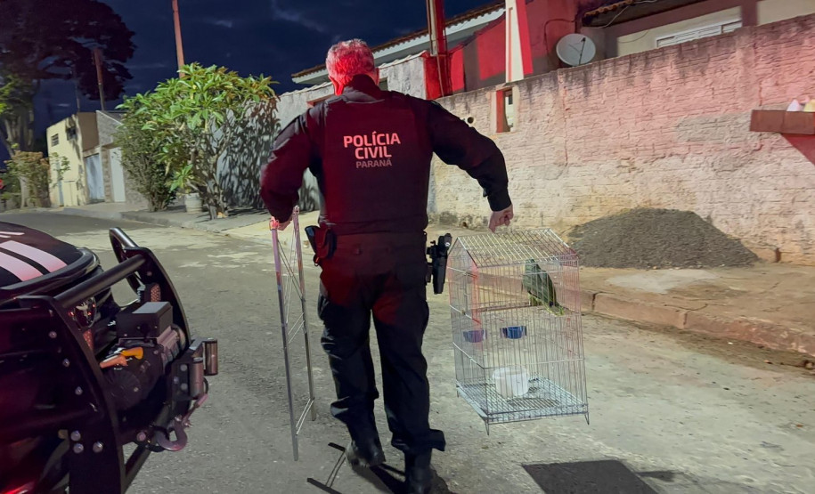 PCPR prende 12 em operação contra organização criminosa envolvida com tráfico e tribunal do crime em Jacarezinho