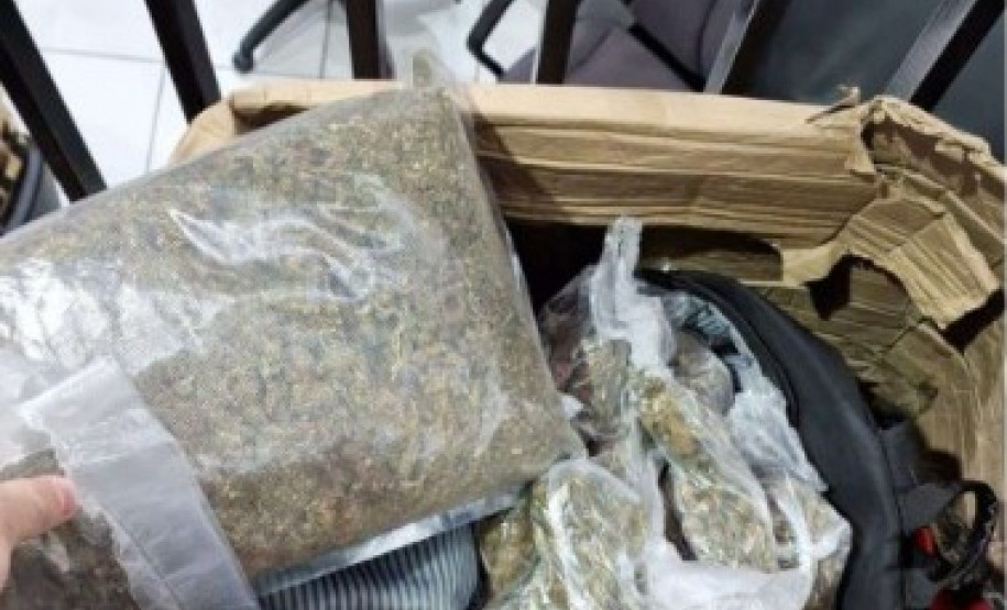 PCPR apreende 327 quilos de maconha gourmet e prende três pessoas por tráfico