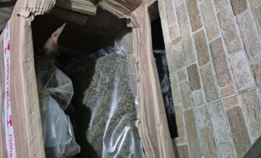 PCPR apreende 327 quilos de maconha gourmet e prende três pessoas por tráfico