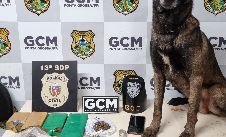 PCPR e GM apreendem drogas durante ação em Ponta Grossa