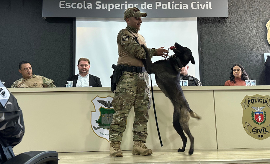 PCPR forma sete condutores em Curso de Operações Policiais com Cães
