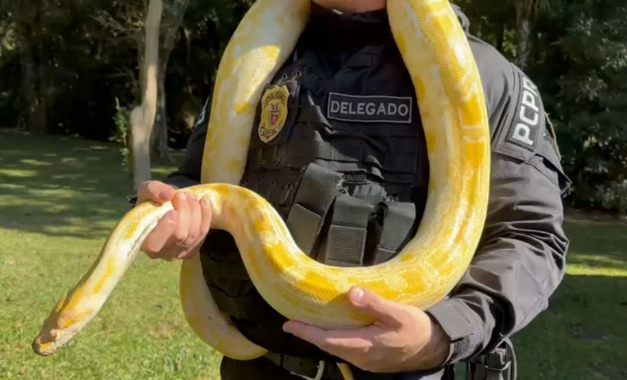 Na corrida pelo meio ambiente, cada passo importa: ações da PCPR reforçam a importância do cuidado com a natureza