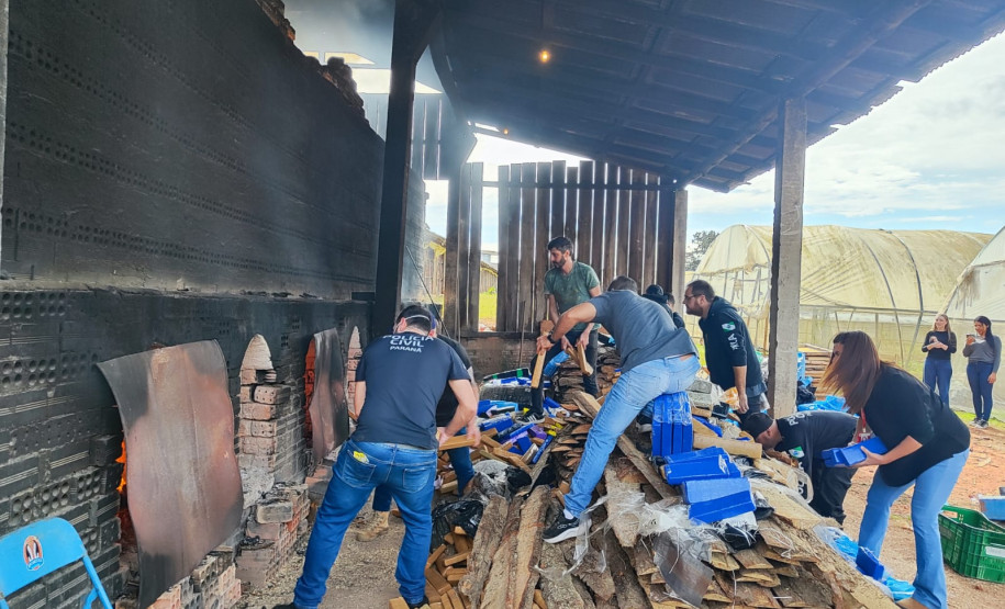 PCPR incinera cerca de 3,5 toneladas de drogas em São José dos Pinhais