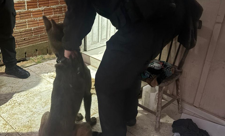 PCPR prende três pessoas vinculadas a um homicídio e tráficos de drogas em Mandirituba