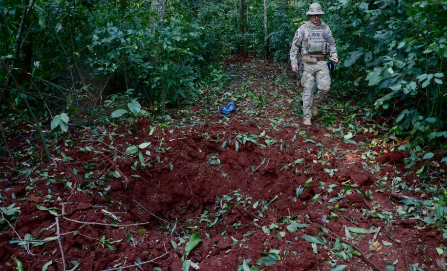 Operação Sinergia II termina com 12,4 toneladas de drogas apreendidas e 271 prisões