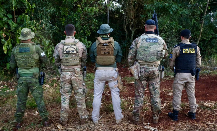 Operação Sinergia II termina com 12,4 toneladas de drogas apreendidas e 271 prisões