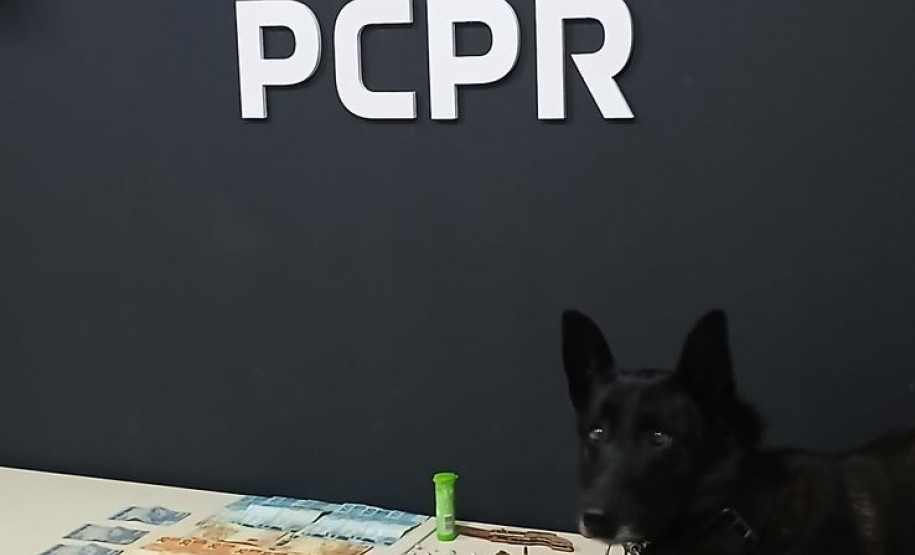 PCPR e PMPR prendem casal em flagrante por tráfico de drogas em Ortigueira