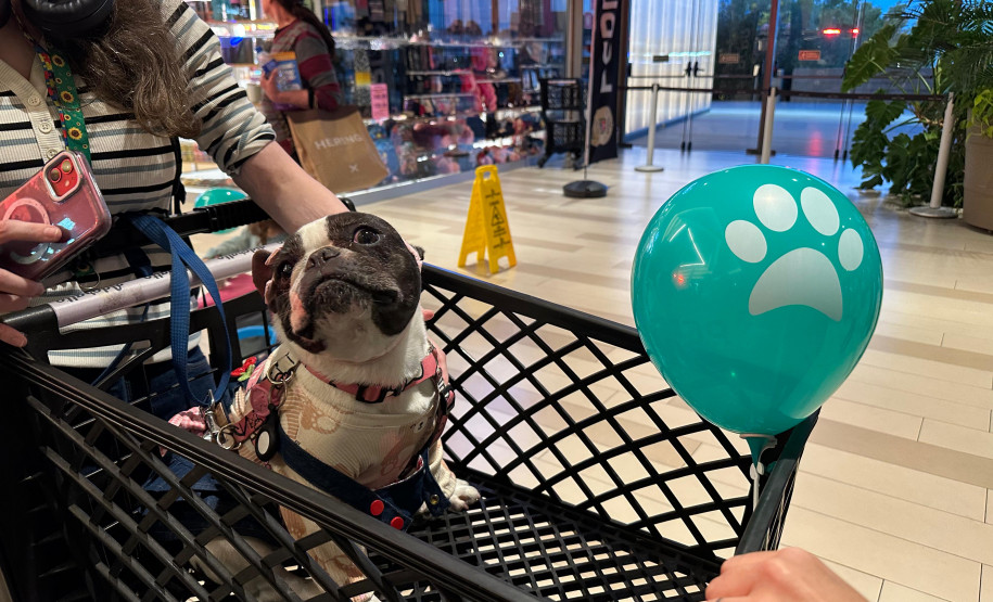 PCPR na Comunidade atende mais de 1,7 mil pessoas em evento de combate aos crimes ambientais em Curitiba