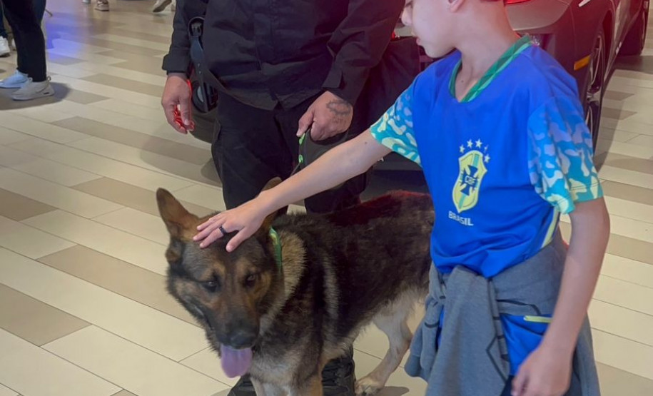 PCPR na Comunidade atende mais de 3 mil pessoas em evento de combate aos crimes ambientais em Curitiba